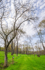 Pithole, a ghost town in Cornplanter Township, Venango County, Pennsylvania, United States