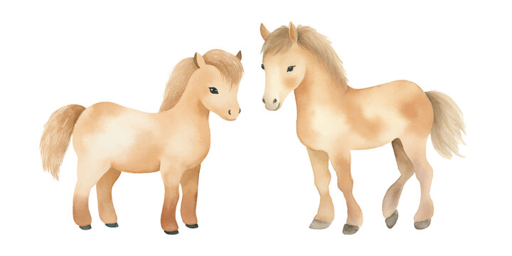 cute horse watercolor vector illustration © Finkha