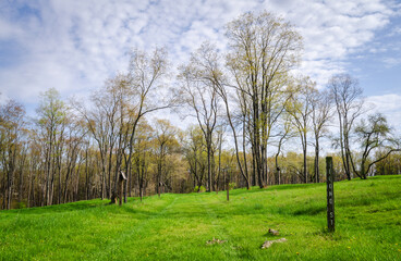 Pithole, a ghost town in Cornplanter Township, Venango County, Pennsylvania, United States