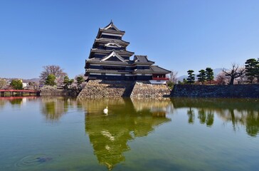 Fototapeta na wymiar 青空に映える国宝 松本城