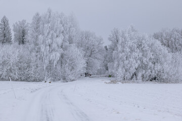 Country road landscape in a cold and frosty winter day - 716403553