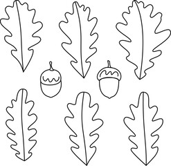 Vector set of oak leaves. Isolated on white background.
Illustration made by hand.
