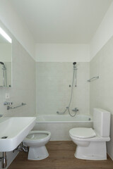 Fototapeta na wymiar Front view of a bathroom with toilet, washbasin, bidet and bathtub