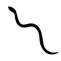 Snake icon vector. Spineless illustration sign. Reptile symbol or logo.