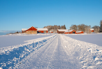 Country road landscape in a cold and frosty winter day - 716422562