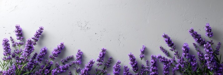 White Background Bouquet Lavender Text Frame, Banner Image For Website, Background, Desktop Wallpaper