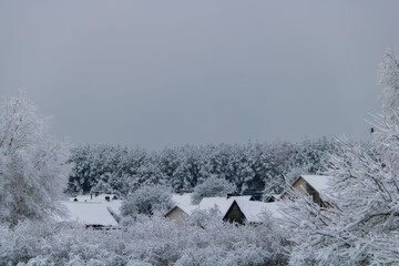 houses in the forest in winter
