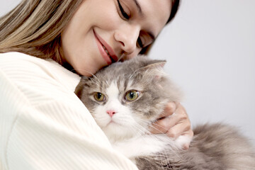 Cute white gray Persian cat comfortably in owner lap hands, happy fluffy pet comfortably being gently hugged with love feeling by owner. Adorable long hair kitty with woman owner relaxing at home.