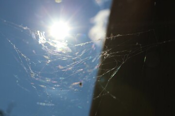 Cobweb against blue sky outdoors on sunny day, low angle view