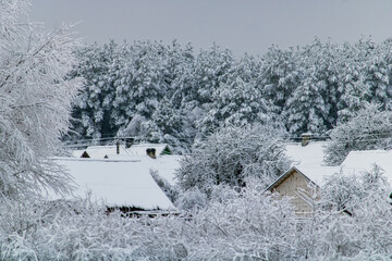 houses in the forest in winter