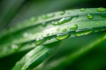 Full frame shot of water on metal, Close-up of bubbles on railing against landscape
Bubbles, Full frame shot of water drops on metal	
Drop of water, Hole