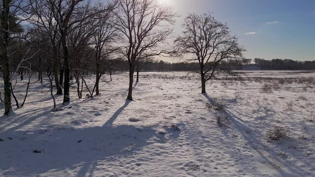 Frozen landscape in winter with snow and tundra through forest