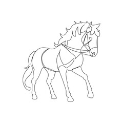 Horse continuous one line drawing outline vector illustration