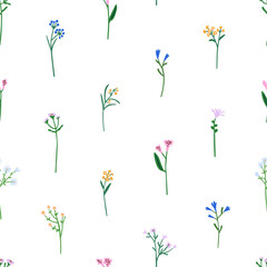 Seamless floral pattern. Spring and summer field flowers, endless background. Botanical repeating print design, tiny stems, blooms. Flora texture for textile, fabric. Flat graphic vector illustration - obrazy, fototapety, plakaty