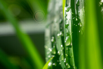 Full frame shot of water on metal, Close-up of bubbles on railing against landscape,Rear view of...