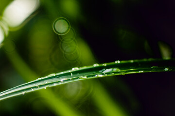 Full frame shot of water on metal, Close-up of bubbles on railing against landscape,Rear view of...