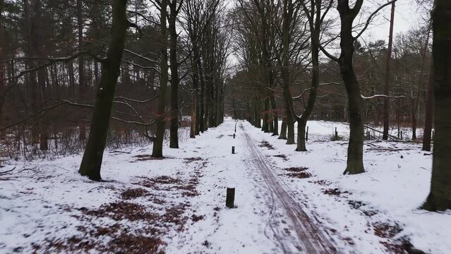 Flying through forest path with snow and ice in winter