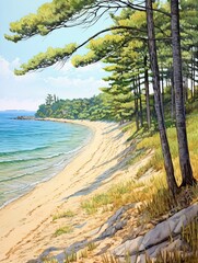 Whispering Pine Forests: Seaside Serenity with Stunning Pine Beachscape