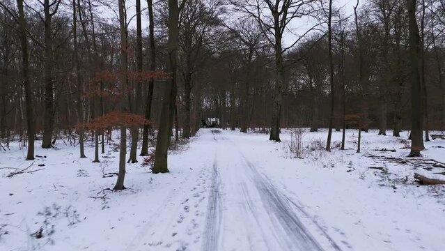Flying through forest path with snow and ice in winter