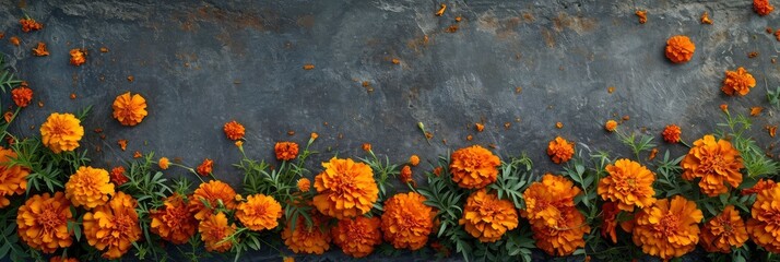  Marigold Flowers Frame Background, Banner Image For Website, Background, Desktop Wallpaper
