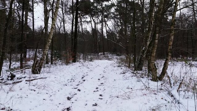 Flying through forest path with snow and ice in winter