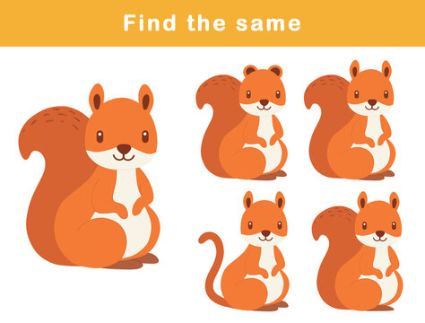 Find same picture worksheet for kids. Worksheet for kids kindergarten, preschool and school age. Education game for children with cute squirrel illustration.