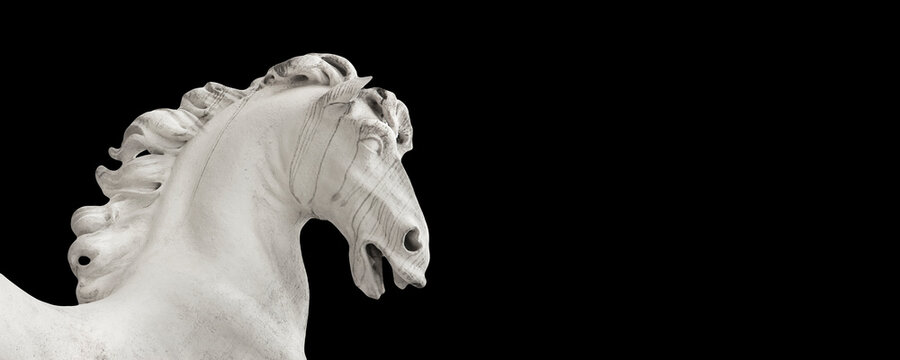 White stone horse statue - Banner desin concept with copy space - Belvedere garden Wien, Europe - Statue built in 1723 approximately