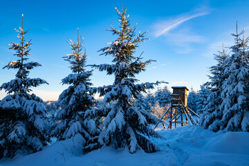 Hunters deer stand lookout in a forest clearing in Willingen, Germany on a sunny winters evening...