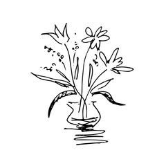 Flower, houseplant, sketch, hand drawing.