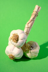 A short string of garlic against a seamless green background