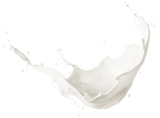 Curve milk splash isolated