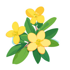 yellow flower isolated on white background