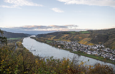 Fototapeta na wymiar Autumn Vibes Wineyards Germany water of Rhine river in andernach near koblenz water transport freight ships Fall Colors