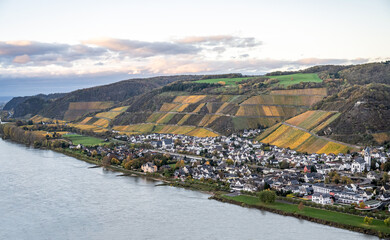 Autumn Vibes Wineyards Germany water of Rhine river in andernach near koblenz water transport...