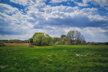 Landschaft - Himmel - Frühling - Feld - Ecology - Field - Nature - Concept - Environment - Clouds - Beautiful - Landscape - Background - Green - Bio - Forest