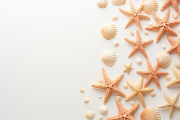 Fototapeta na wymiar banner with shells and starfish on the right side