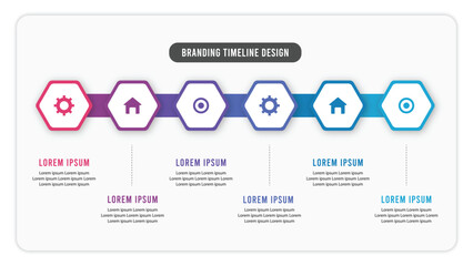 Six steps hexagon shaped infographic template