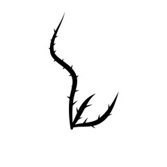 Thorn Silhouette