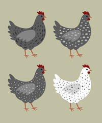 Set of speckled chicken vector illustration.