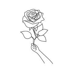 Obraz premium Rose flower continuous one line drawing outline vector illustration