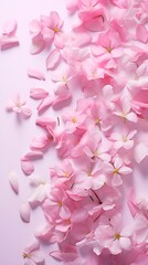 Cherry Blossom Petals in a Healthy Ecosystem , cherry blossom petals, healthy ecosystem