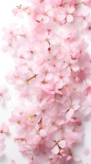 Fototapeta na wymiar Cherry Blossom Petals in a Healthy Ecosystem , cherry blossom petals, healthy ecosystem