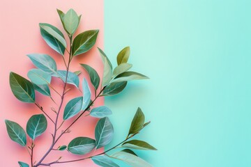 Fototapeta na wymiar Сrowberry leaves on a pastel background
