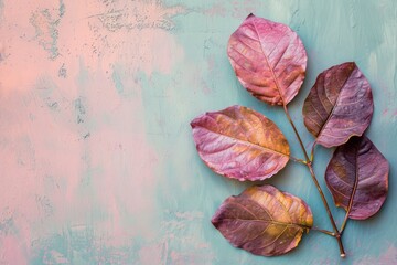 Naklejka na ściany i meble Сrowberry leaves on a pastel background