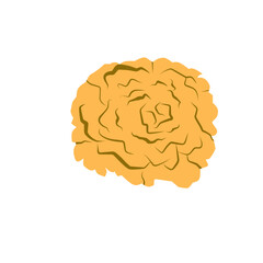 Marigold Flower Blossom 