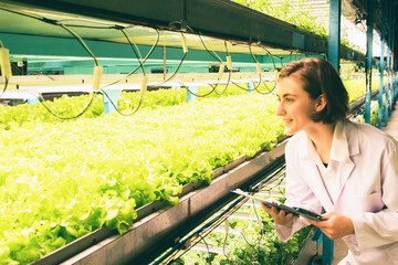 Female researcher holds clipboard and oversees hydroponic vegetable farm grown closed indoor...