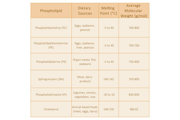 Table showing Phospholipids types, dietary sources, melting point and molecular weight - including PC, PE, PS, PI, SM, cholesterol Yellow scientific vector illustration.