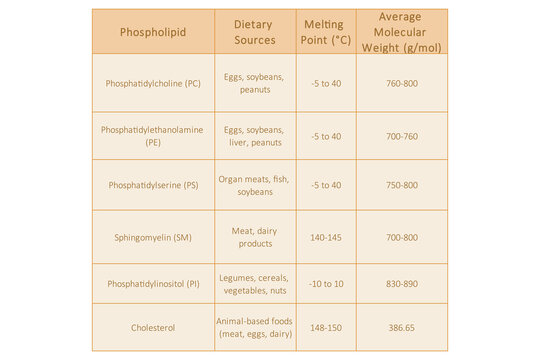 Table showing Phospholipids types, dietary sources, melting point and molecular weight - including PC, PE, PS, PI, SM, cholesterol Yellow scientific vector illustration.