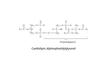 Molecular schematic structure of Phosphatidic acid. Blue Scientific vector illustration.
