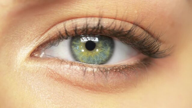 Portrait, closeup and eye of person blink, vision and healthy pupil, retina and optometry. Face macro, natural and eyeball of model, eyelashes and green iris contact lenses for beauty in skincare